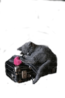 Кот на чемодане - darmowe png
