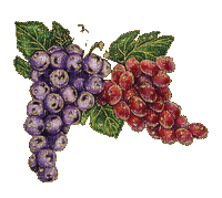Grapes Fruit Gif - Bogusia - GIF animate gratis