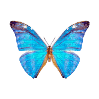 papillon bleu BLUE BUTTERFLY GIF