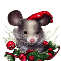 Mouse Christmas - Bogusia - фрее пнг