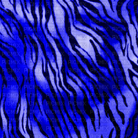 TIGER PRINT BACKGROUND - δωρεάν png