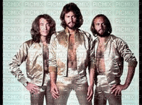 Bee Gees. Effets Girouette - Free animated GIF