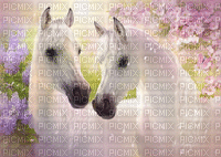 white horses - Nitsa - GIF animado grátis
