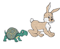 turtle and rabbit - Free animated GIF