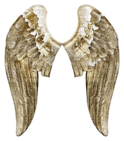 крылья ангела - PNG gratuit
