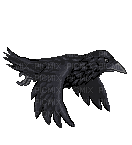 Raven - Bezmaksas animēts GIF
