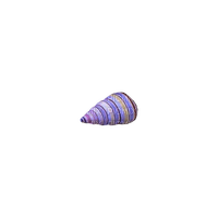 kikkapink deco scrap blue seashell - δωρεάν png