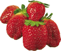 strawberry erdbeere milla1959 - 免费PNG