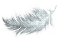 feather - gratis png