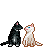 cats kissing - 無料のアニメーション GIF