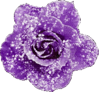Animated.Rose.Purple - By KittyKatLuv65 - GIF animado grátis