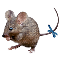 kikkapink mouse scrap deco - png gratis