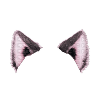 Cat Ears ♫{By iskra.filcheva}♫ - png gratis