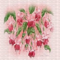 kikkapink spring flowers fond pink - PNG gratuit