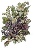 vintage flowers bouquet - zadarmo png