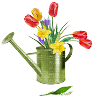 Kaz_Creations Spring Deco Flowers Watering Can - безплатен png