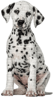 Kaz_Creations Dog-Pup - besplatni png