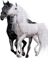 patricia87 cheval - PNG gratuit