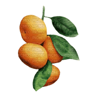 Tangerine - png gratuito