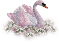 swans bp - png gratis