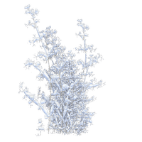 vinter  buske-----winter bush - gratis png