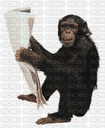 chimp - GIF animasi gratis