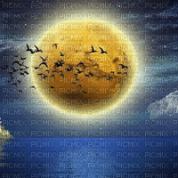 moon lune fantasy night nuit paysage landscape sea mer meer birds image fond background - Бесплатни анимирани ГИФ
