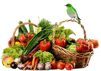 Kaz_Creations Bird Basket Vegetables - PNG gratuit