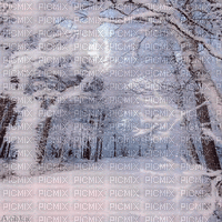 winter  background by nataliplus - GIF animé gratuit