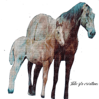 rfa créations - chevaux - nemokama png
