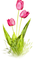 Tulips.Pink - Free PNG