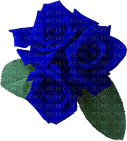 blue roses Bb2 - PNG gratuit