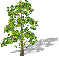 Kaz_Creations Trees Tree - δωρεάν png