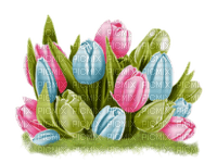 Tulips - png gratis