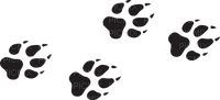 wolf pawprints - δωρεάν png