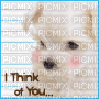 i think of you dog - Безплатен анимиран GIF