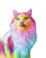 RAINBOW CAT ●[-Poyita-]● - Free PNG