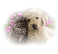 chiot ** - Free PNG