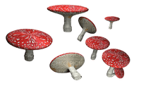 sieni, mushroom - безплатен png