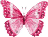 MMarcia gif borboleta butterfly papillon - Бесплатный анимированный гифка