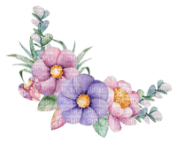 watercolor flowers - безплатен png