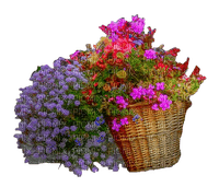 cesta de flores-l - png gratis