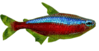 Rena Fisch Neon - PNG gratuit