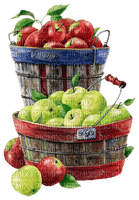 panier de pommes  deco basket with apple