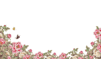loly33 pivoine - Free PNG