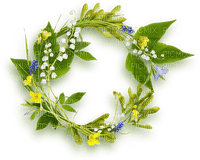 spring flower wreath Bb2 - 免费PNG