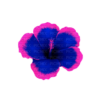 Tropical.Flower.Blue.Pink - ingyenes png