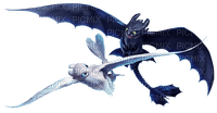 ✶ Light Fury & Toothless {by Merishy} ✶ - δωρεάν png