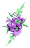 Animated.Flowers.Purple.Green - By KittyKatLuv65