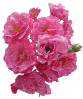 Trandafir 33 - PNG gratuit
